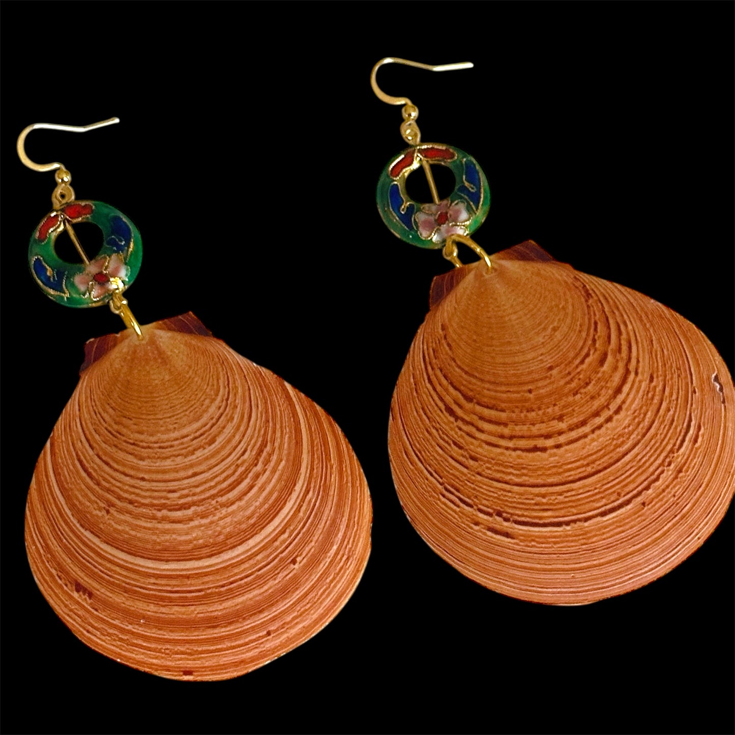 The Sun Shells
