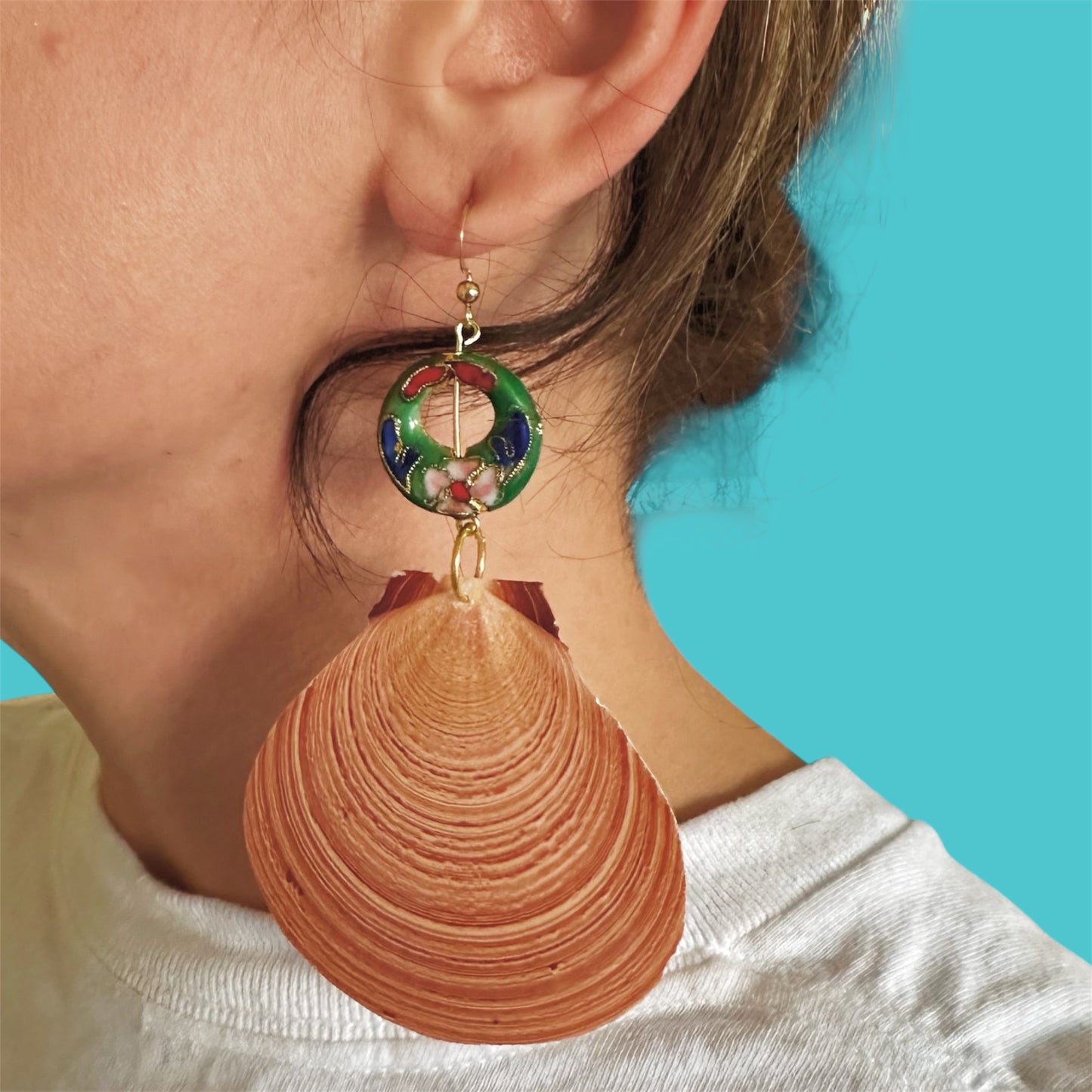 The Sun Shells